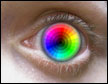 Color Vision